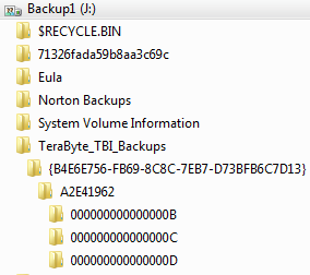 PNG showing drive folder structure