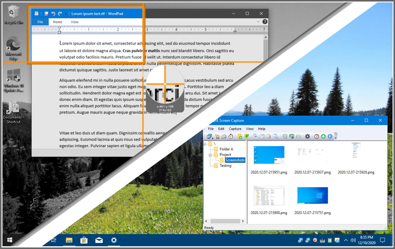 QnE Companion Windows 11 download